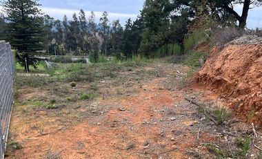 OPORTUNIDAD SITIO EN LA RESERVA DE MITRINHUE