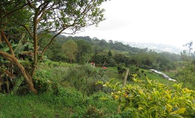 VENDO FINCA EN SAN ANTONIO DE TEQUENDAMA - LA VICTORIA