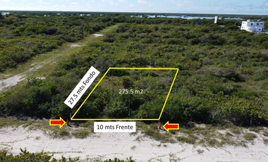 Terreno en venta, 3era. Fila, vista al norte en San Benito, Yucatan