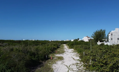 Terreno en venta, 3era. Fila, vista al norte en San Benito, Yucatan