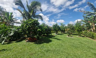 Finca Productiva Ulloa Valle del Cauca