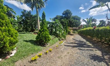 Finca Productiva Ulloa Valle del Cauca