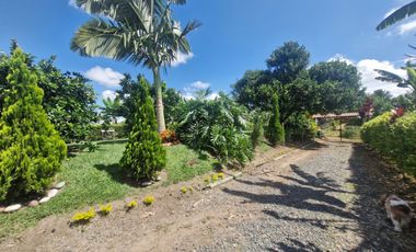 Finca Productiva Ulloa Valle del Cauca