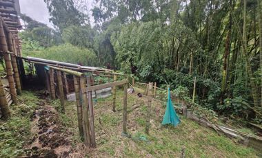 Finca Productiva Ulloa Valle del Cauca