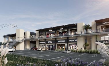 LOCALES COMERCIALES EN RENTA