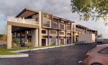 LOCALES COMERCIALES EN RENTA