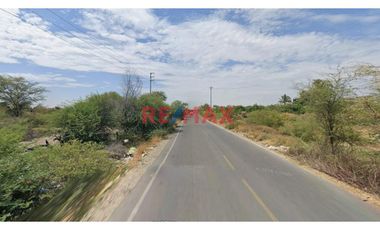 Venta De Terreno A Pie De Carretera Prolong.Los Algarrobos Caserio Cieneguillo Sur//ID:1175667