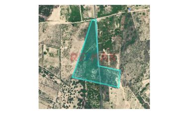 Venta De Terreno A Pie De Carretera Prolong.Los Algarrobos Caserio Cieneguillo Sur//ID:1175667