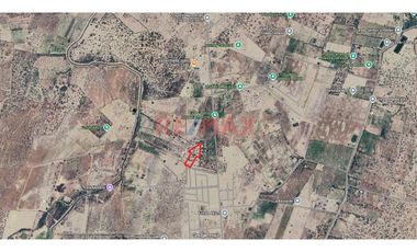 Venta De Terreno A Pie De Carretera Prolong.Los Algarrobos Caserio Cieneguillo Sur//ID:1175667