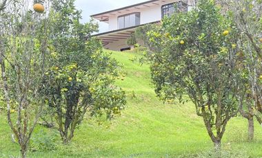 Lujosa finca en venta con 30.000m2T Sector Gualdéleg –Yunguilla Cuenca Ec.