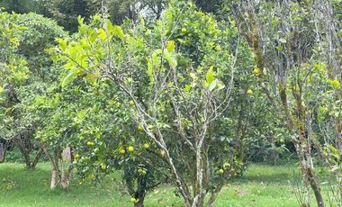 Lujosa finca en venta con 30.000m2T Sector Gualdéleg –Yunguilla Cuenca Ec.