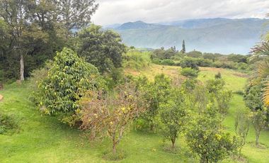 Lujosa finca en venta con 30.000m2T Sector Gualdéleg –Yunguilla Cuenca Ec.