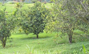 Lujosa finca en venta con 30.000m2T Sector Gualdéleg –Yunguilla Cuenca Ec.