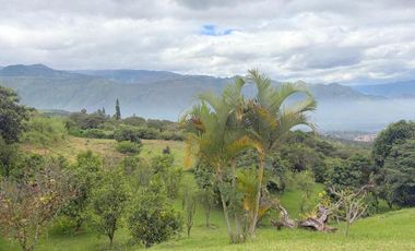 Lujosa finca en venta con 30.000m2T Sector Gualdéleg –Yunguilla Cuenca Ec.