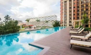 FOR RENT: MONARCH PARSUITS