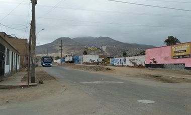 PUENTE PIEDRA REMATO TERRENAZO DE 335M2 $62 MIL DOLARES CONTADO, 4 MINUTOS PANAMERICANA KM36, PUEDE COLOCAR SU NEGOCIO O CONTRUIR.