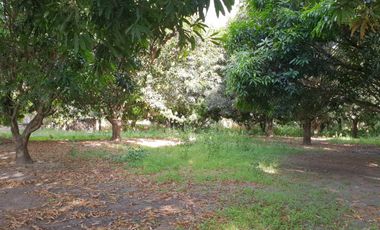 Lots for Sale in Mabiga, Mabalacat, Pampanga (near MacArthur Hway)