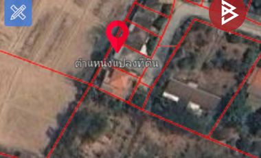 ขายบ้านเดี่ยวพร้อมที่ดิน เนื้อที่ 66 ตารางวา เทิง เชียงราย