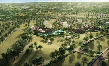 Prime Residential Lots in Sereneo, Nuvali - Across Miriam College 355 sqm for just Php 37,100/month