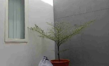 Jual Rumah Strategis 2 Lantai Eksklusif Siap Huni di Pratama Residence Bekasi Timur