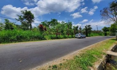 Di Jual Tanah Komersial Murah - Petang, Badung