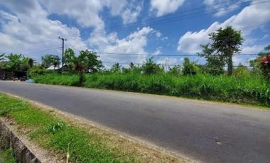 Di Jual Tanah Komersial Murah - Petang, Badung