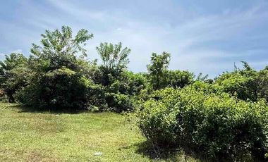 DIJUAL TANAH MURAH JL MUNDEH – KUTUH, BALI