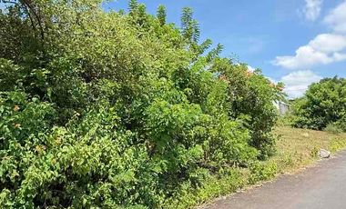 DIJUAL TANAH MURAH JL MUNDEH – KUTUH, BALI