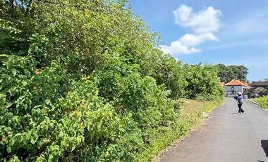 DIJUAL TANAH MURAH JL MUNDEH – KUTUH, BALI