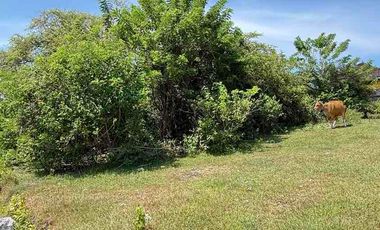DIJUAL TANAH MURAH JL MUNDEH – KUTUH, BALI