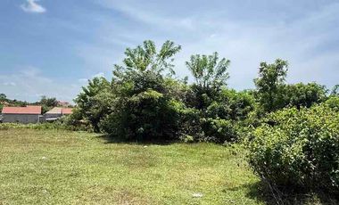 DIJUAL TANAH MURAH JL MUNDEH – KUTUH, BALI