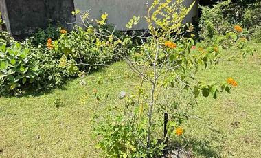 DIJUAL TANAH MURAH JL MUNDEH – KUTUH, BALI
