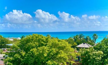 🏰 CASTILLO DE AMOR — Villa For Sale Playacar Phase I