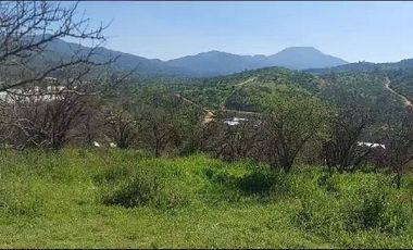 Parcela de agrado en Curacaví.