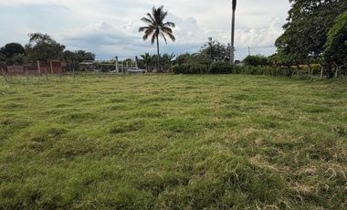 SE VENDE LOTE BOLO SAN ISIDRO VIA PALMIRA CANDELARIA, PALMIRA VALLE DEL CAUCA