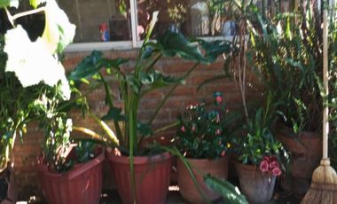 Amplia casa ideal para familia en ARRIENDO - Pomaire