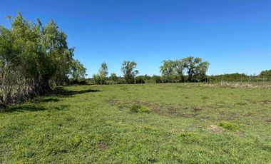 Preciosa parcela 1 hectárea en Linares