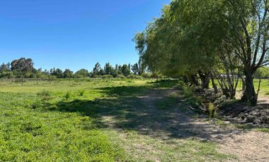 Preciosa parcela 1 hectárea en Linares