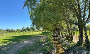 Preciosa parcela 1 hectárea en Linares