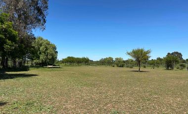 Preciosa parcela 1 hectárea en Linares