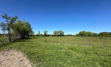 Preciosa parcela 1 hectárea en Linares