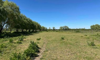 Preciosa parcela 1 hectárea en Linares