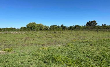 Preciosa parcela 1 hectárea en Linares