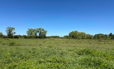 Preciosa parcela 1 hectárea en Linares