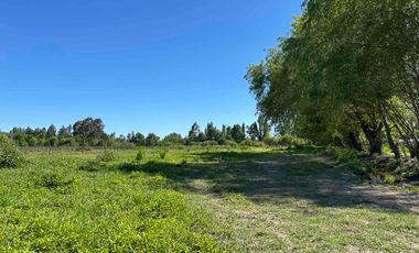 Preciosa parcela 1 hectárea en Linares