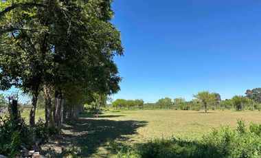 Preciosa parcela 1 hectárea en Linares