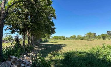 Preciosa parcela 1 hectárea en Linares