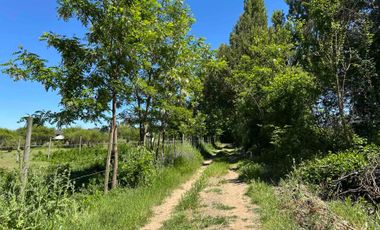 Preciosa parcela 1 hectárea en Linares