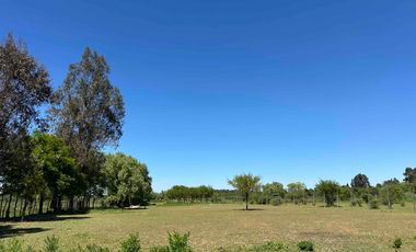 Preciosa parcela 1 hectárea en Linares