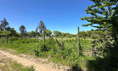 Preciosa parcela 1 hectárea en Linares